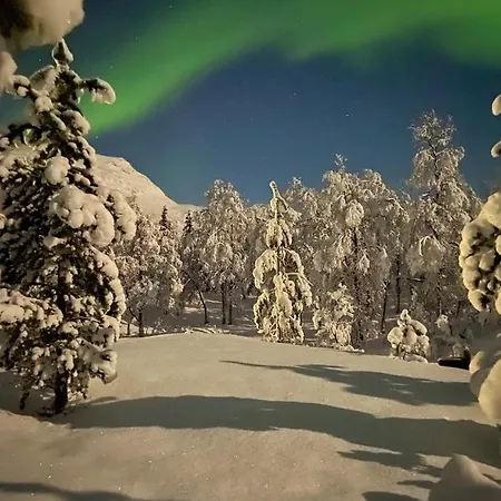 Деревянный коттедж North Experience Basecamp *