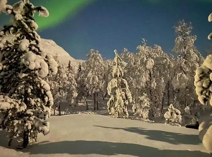 Lodge North Experience Basecamp *